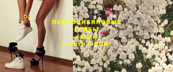 ГАЛЛЮЦИНОГЕННЫЕ ГРИБЫ Карталы
