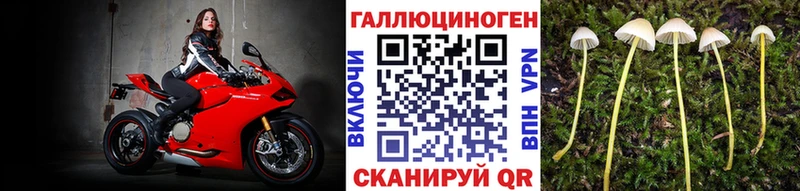 Купить где  Геленджик  Галлюциногенные грибы Magic Shrooms 