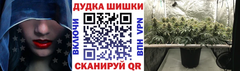 Купить где  Геленджик  Бошки Шишки план 
